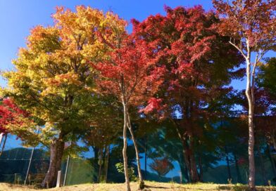 郡山市　ハイキング　散歩　公園　紅葉　健康