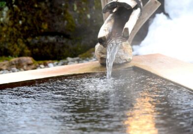 源泉が出ている様子